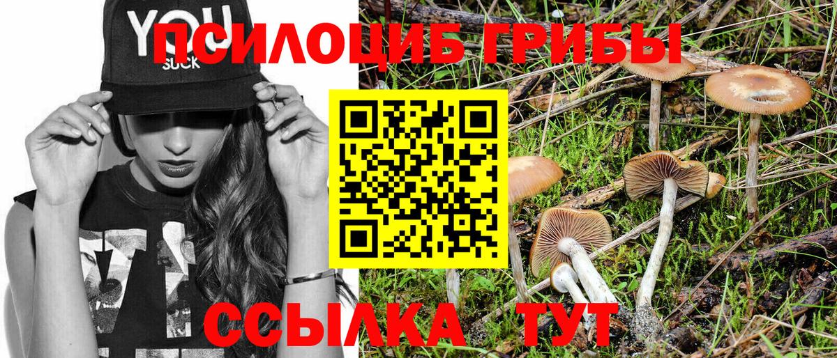 Галлюциногенные грибы мухоморы  Вход с VPN  Псилоцибиновые грибы прущие грибы  Десногорск 