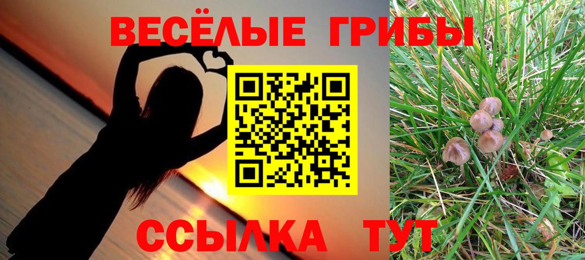 Галлюциногенные грибы Magic Shrooms Десногорск